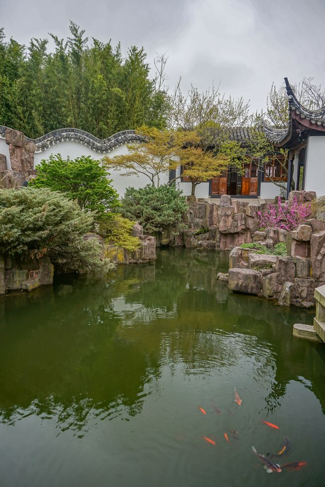 Koi pond at Snug Harbor Cultural Center