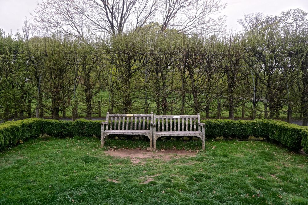 Wooden bench at Snug Harbor Cultural Center