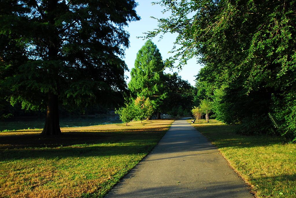 A trail at Willowbrook Park