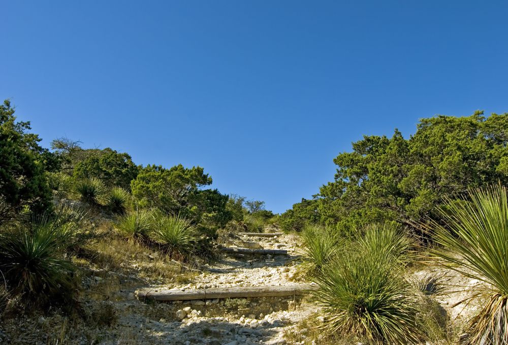 View of Hill Country Natural State Area
