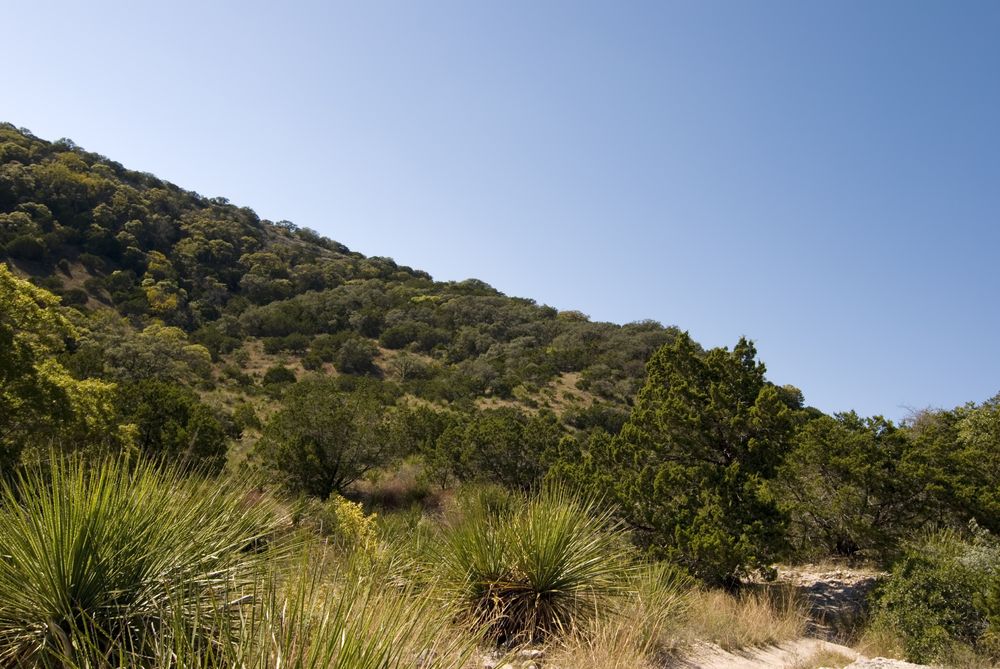 View of Hill Country Natural State Area