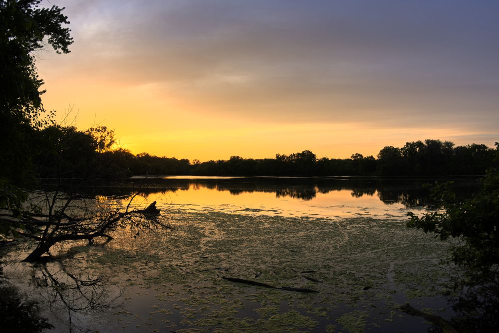 Scenic view of Skokie Lagoons