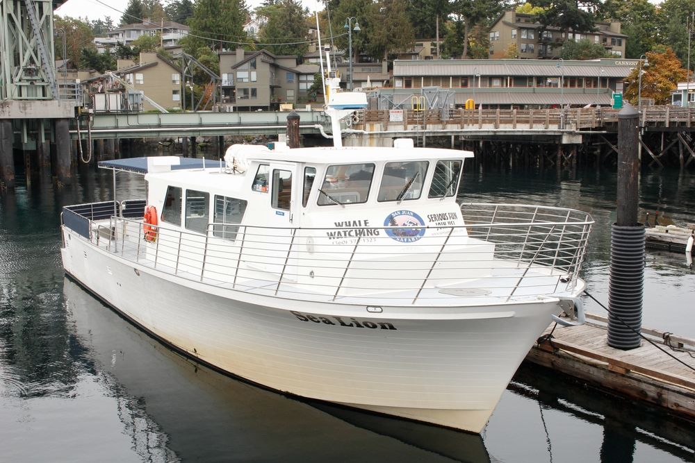 Sea Lion boat of San Juan Safaris