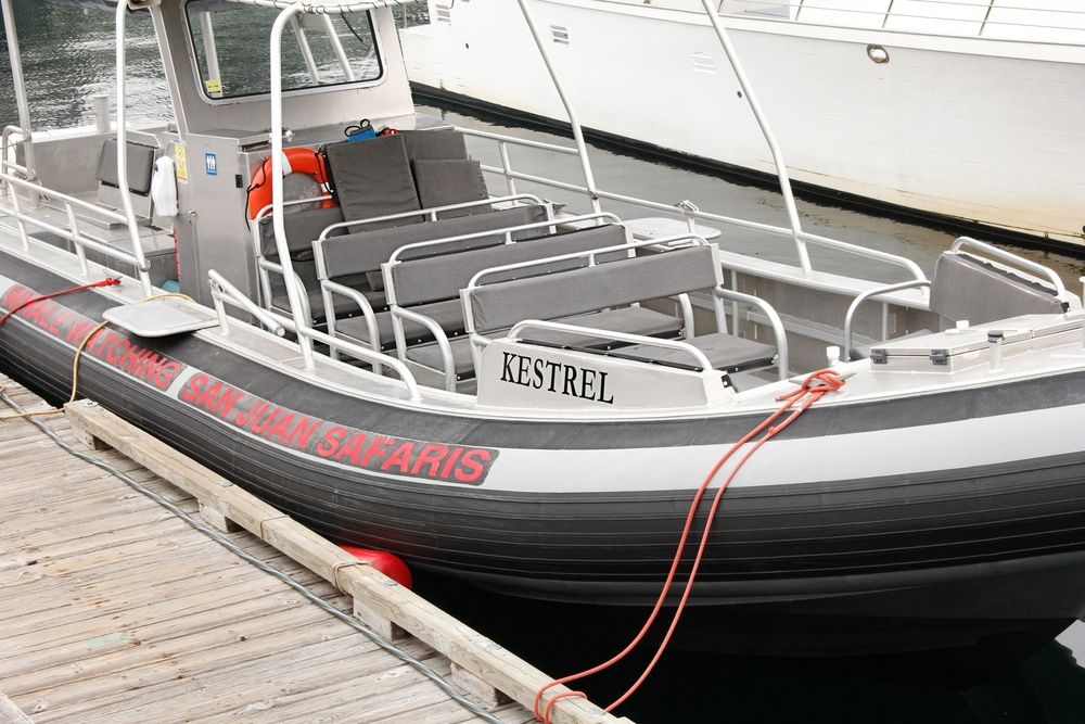 Kestrel boat of San Juan Safaris