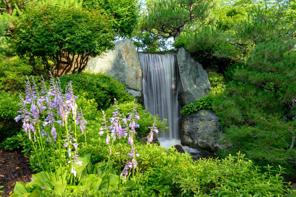 A beautiful waterfall at Missouri Botanical Garden
