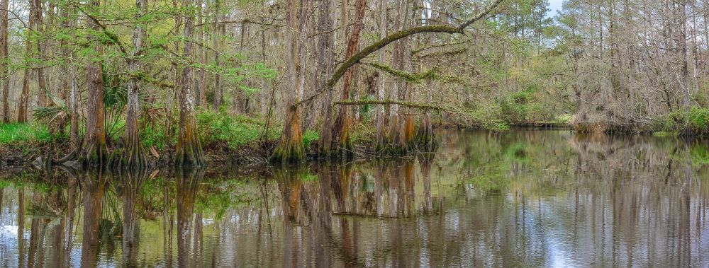 The waters of Camp Salmen Nature Park