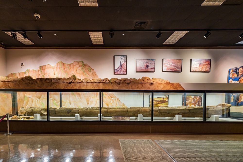 Exhibit in Louisiana State Exhibit Museum