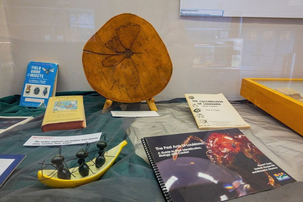 Displays in Louisiana State Exhibit Museum