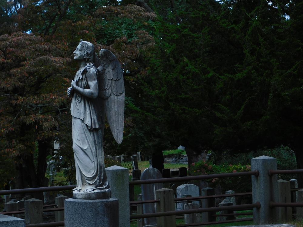 Angel in Sleepy Hollow Cemetery