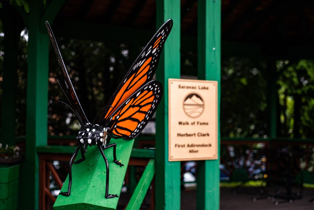 Butterfly sculpture at Saranac Lake Riverwalk