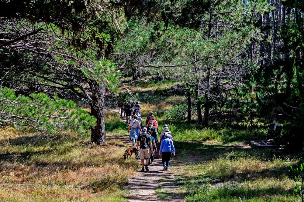 People walking along a trail at Fiscalini Ranch Preserve