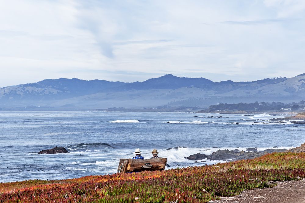 Two people admiring the views from Fiscalini Ranch Preserve
