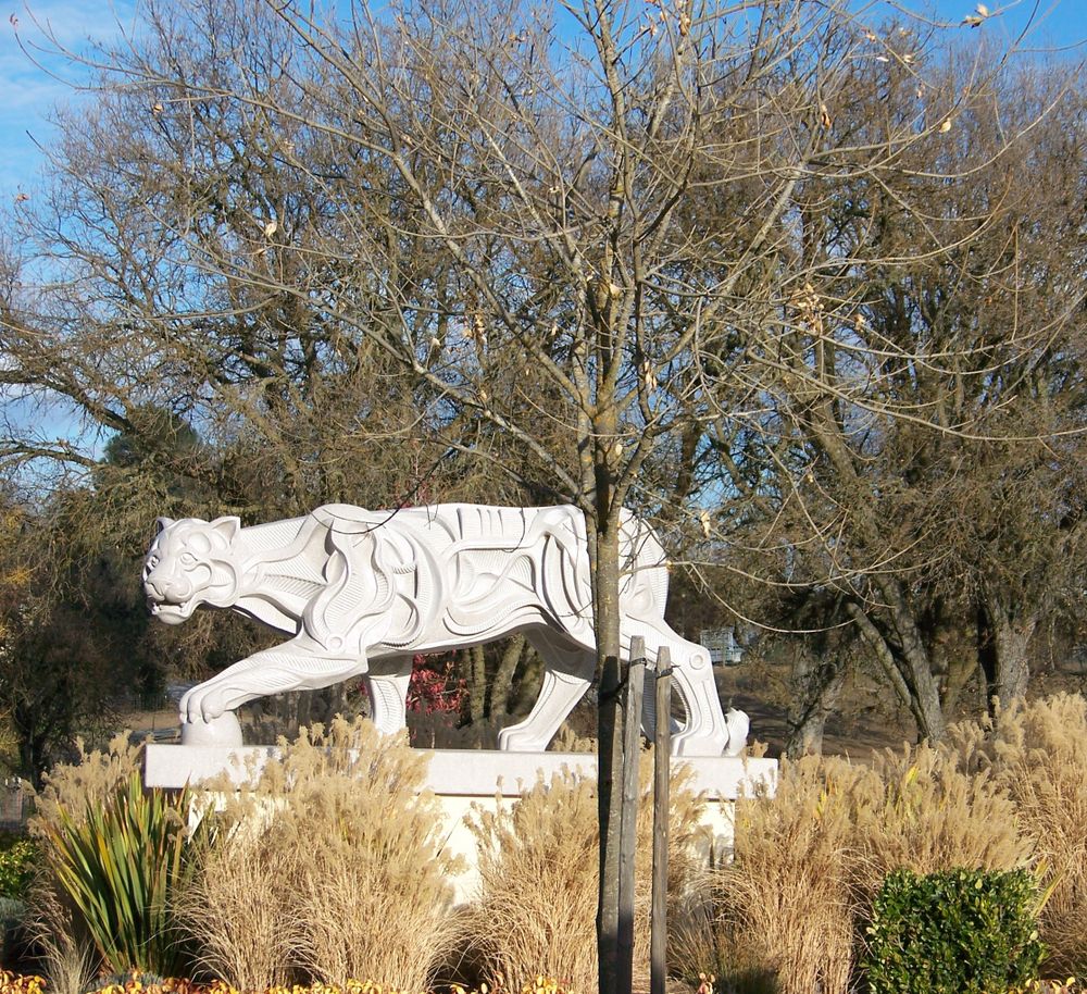 White puma sculpture at Sculpterra Winery and Sculpture Garden