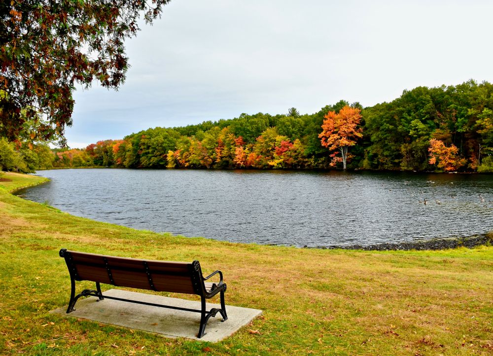 A bench facing the waters of Dean Park