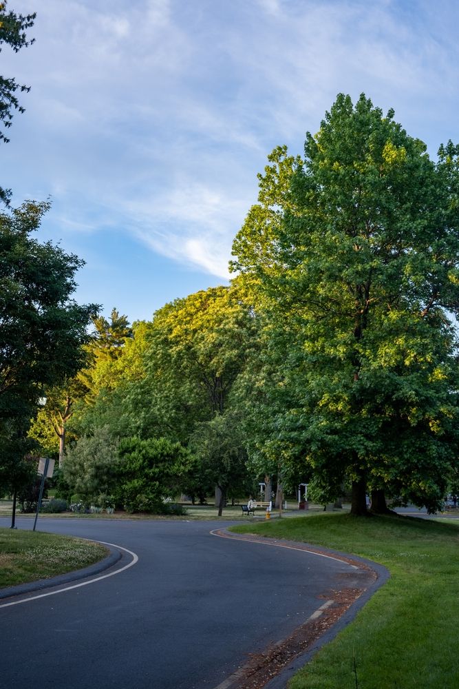 Paved trail at Forest Park