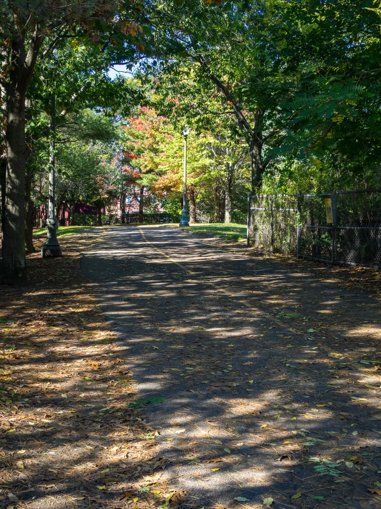 Daytime view of the Somerville Community Path