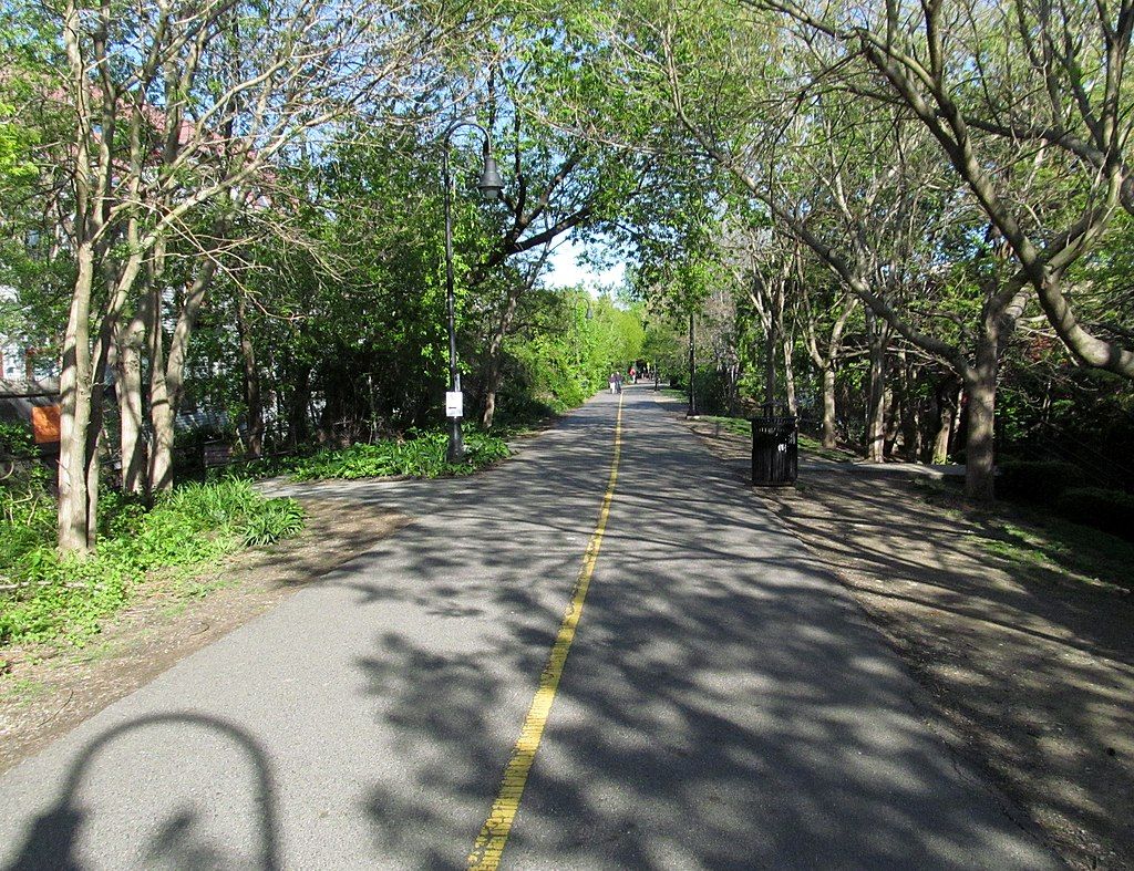 The Somerville Community Path lined with trees