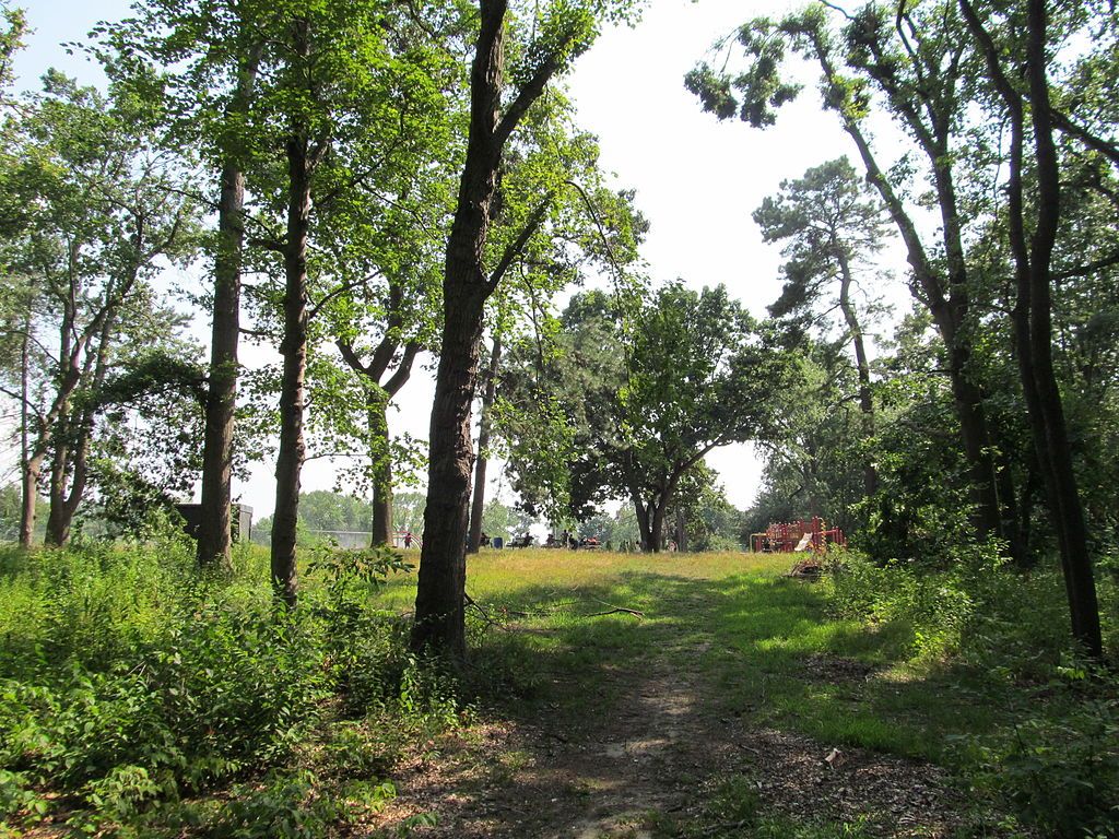 Nature trail at Van Horn Park