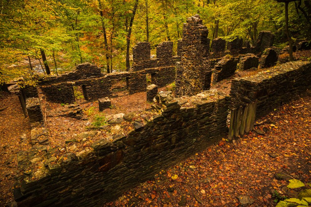 Ruins of civil war at Serene Sope Creek