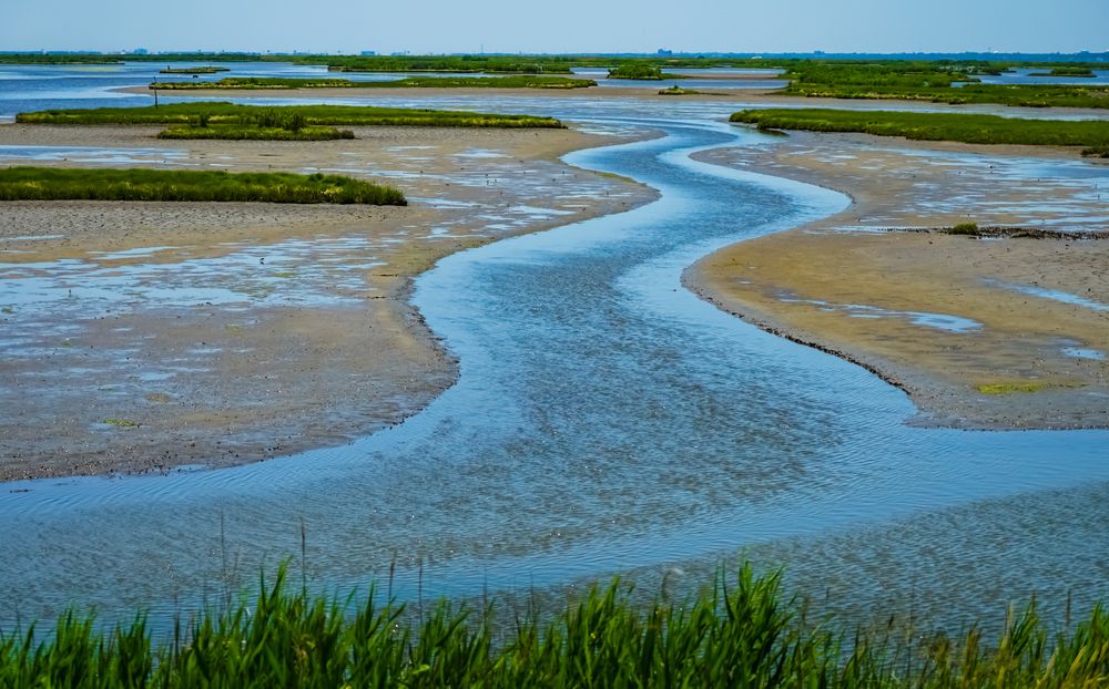 Waters at Edwin B. Forsythe National Wildlife Refuge