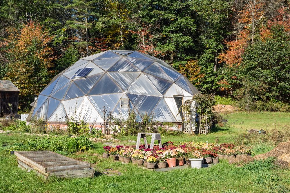 Greenhouse in Stonewall Farm
