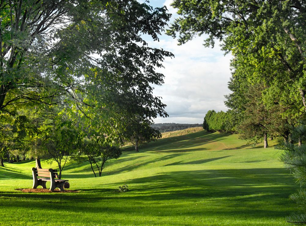 Scenic view of Burnet Park