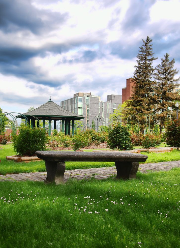 Daytime view of E.M. Mills Rose Garden