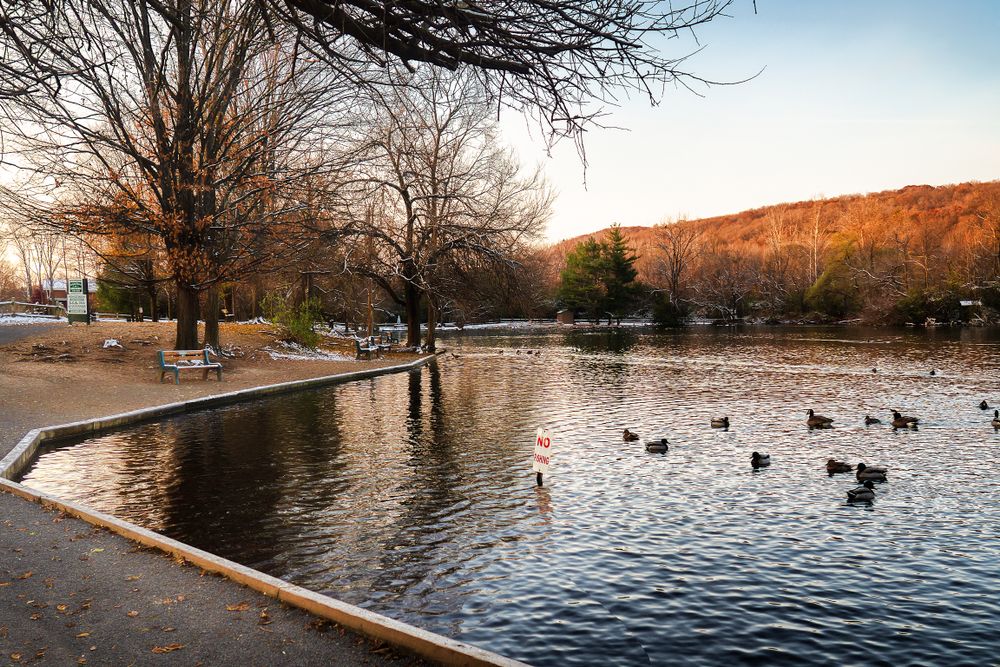 The waters of Webster Pond