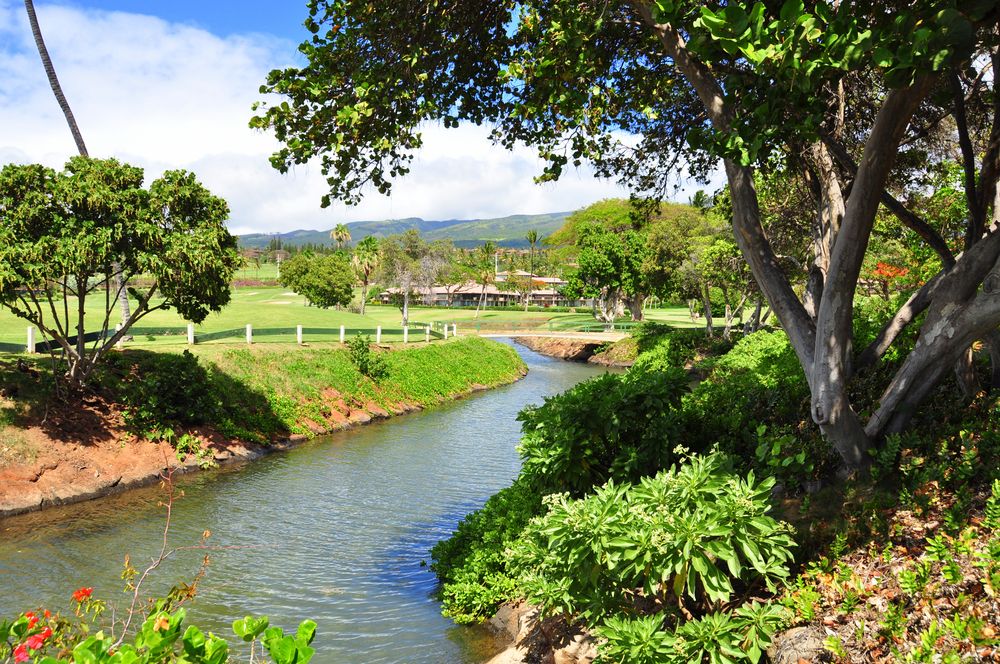 A River in golf course in Kaanapali