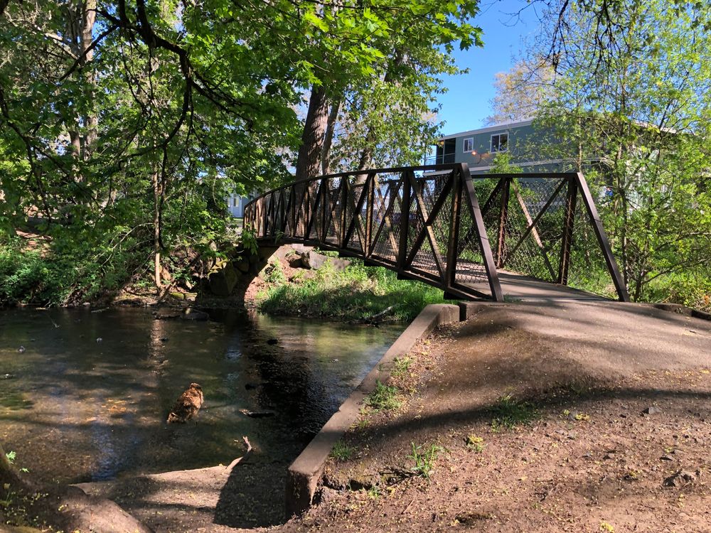 A bridge at Bush's Pasture Park