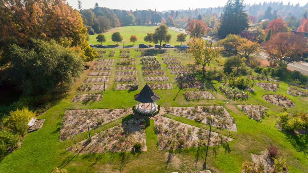 Aerial view of Bush’s Pasture Park