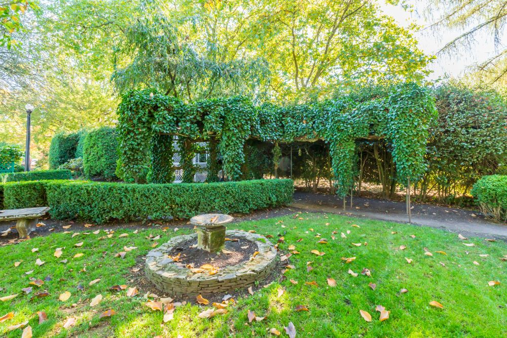 Greenery at Deepwood Museum and Gardens