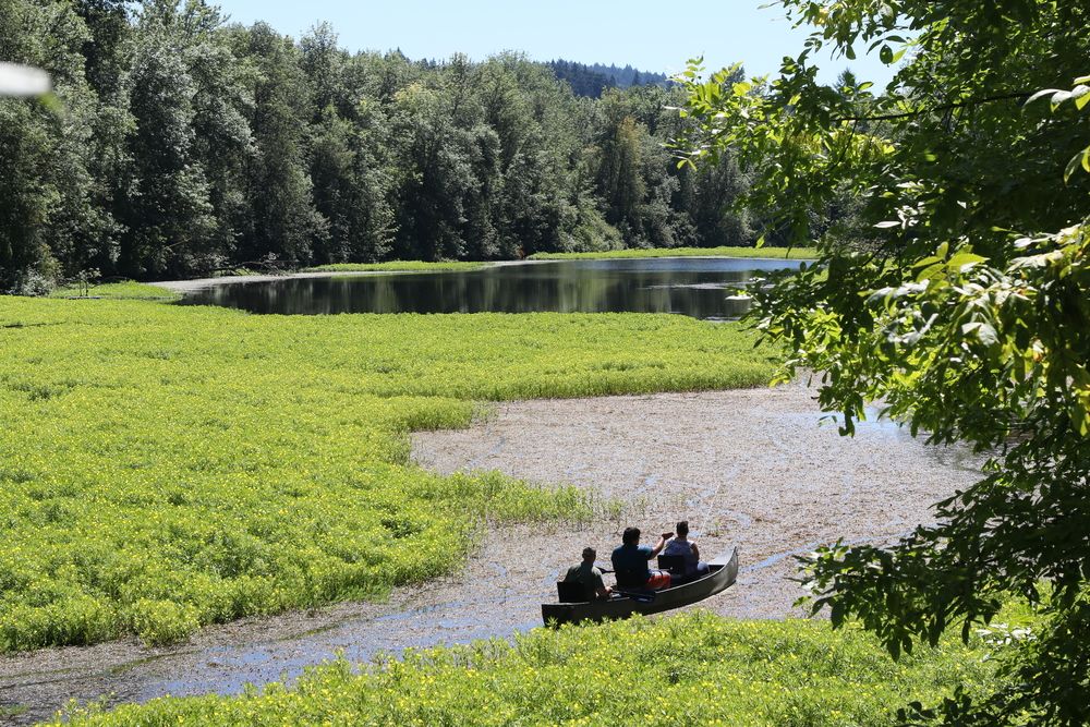Canoe on the waters of Minto-Brown Island Park