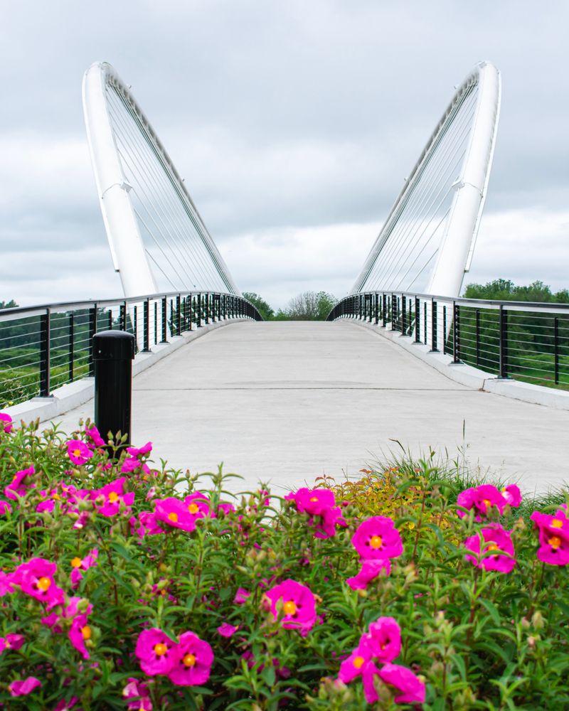 Pathway of Peter Courtney Minto Island Bicycle and Pedestrian Bridge