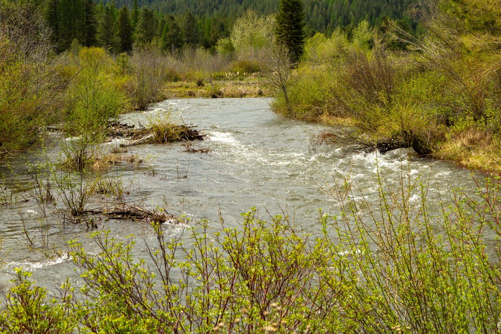 The waters of Sumpter Valley Dredge Heritage Area