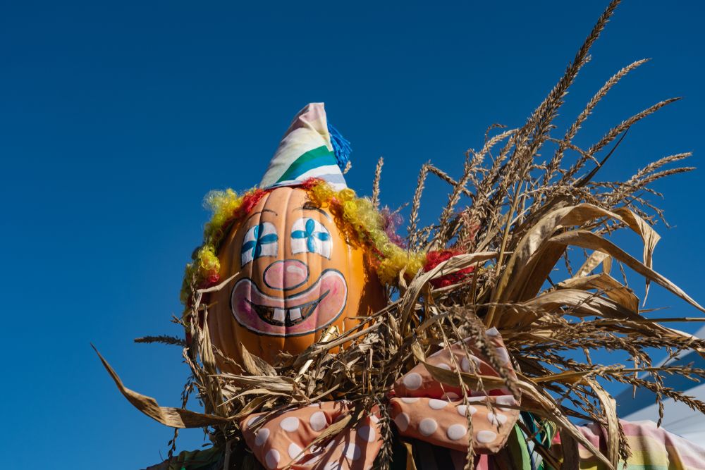 Painted pumpkin scarecrow at Merrymead Farm