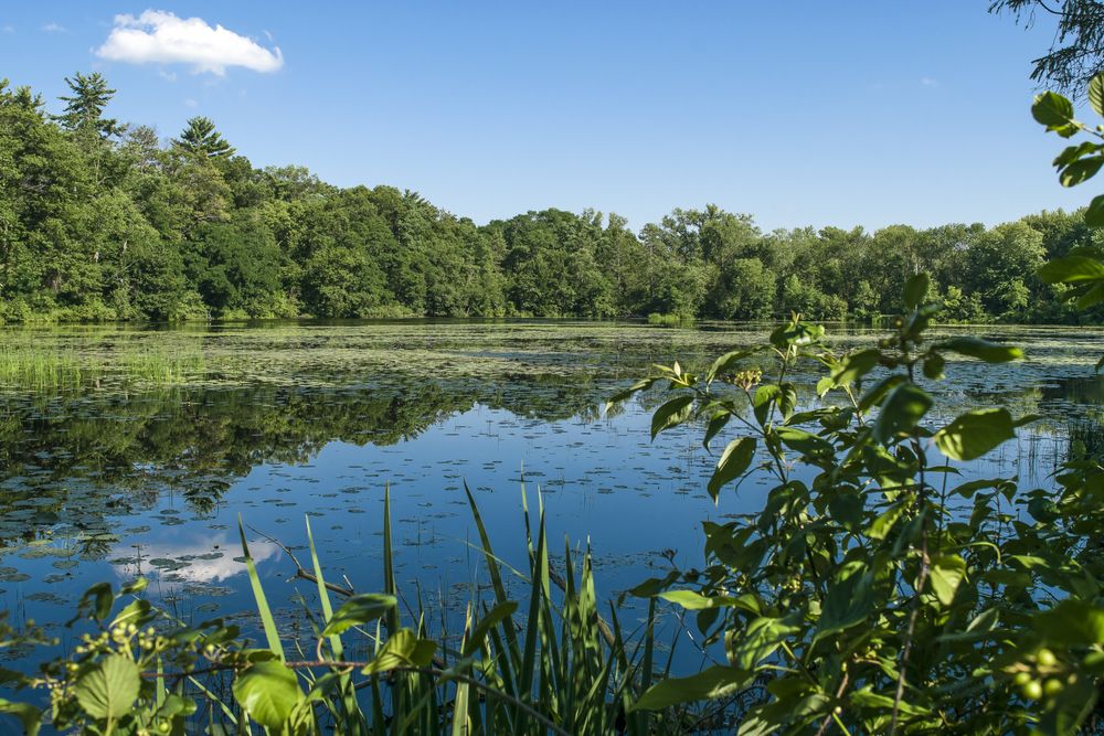 View of Carson Park