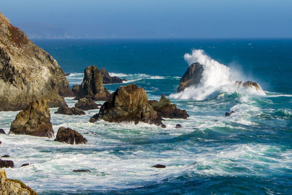 Scenic view of Bodega Head