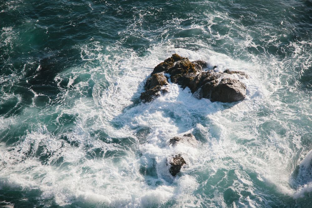 Aerial view of Bodega Head