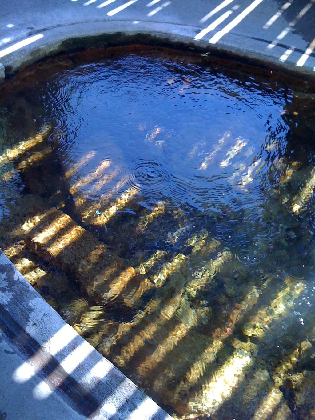 The waters of Hooper Springs Park