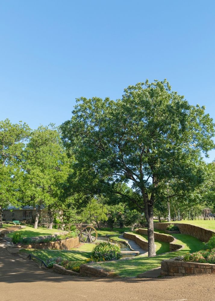 Trail at Mill Pond Park