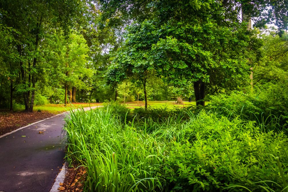 Paved trail at Piedmont Park