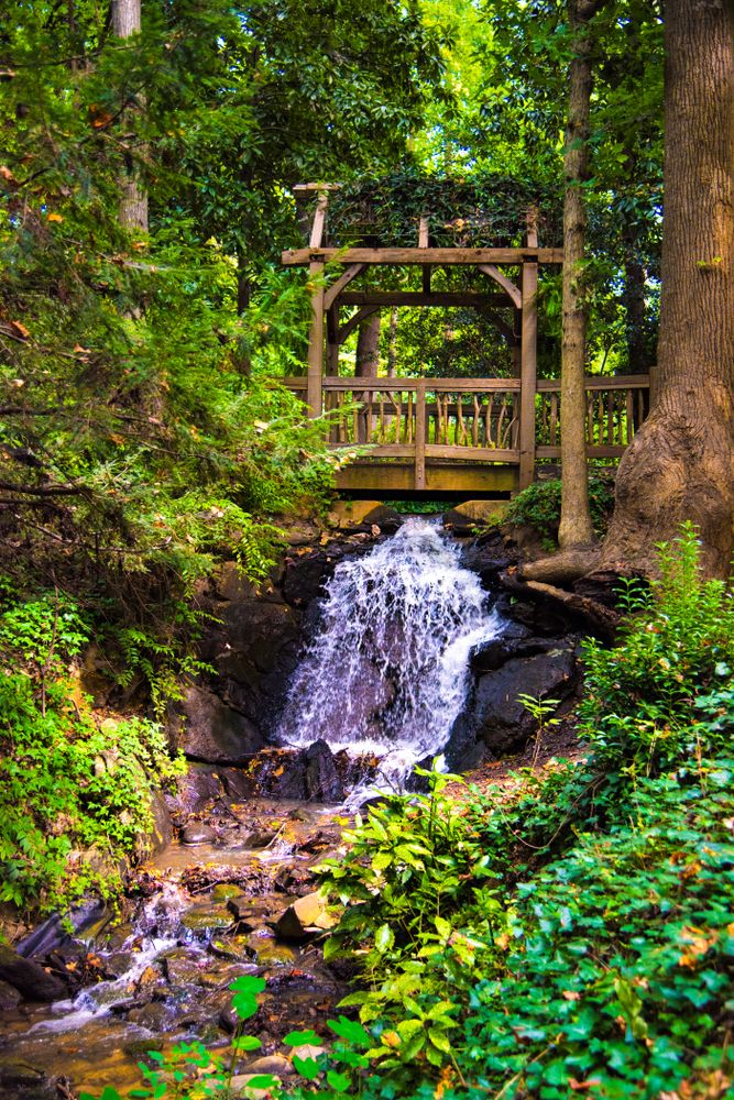 Small waterfall at Hatcher Garden & Woodland Preserve