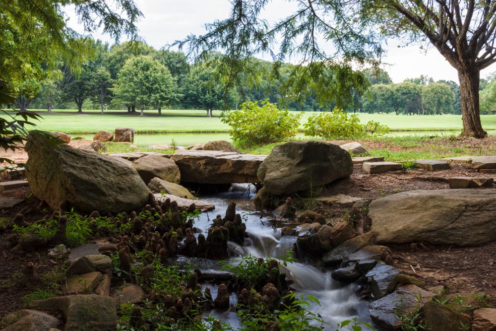 Stream at The Milliken Arboretum