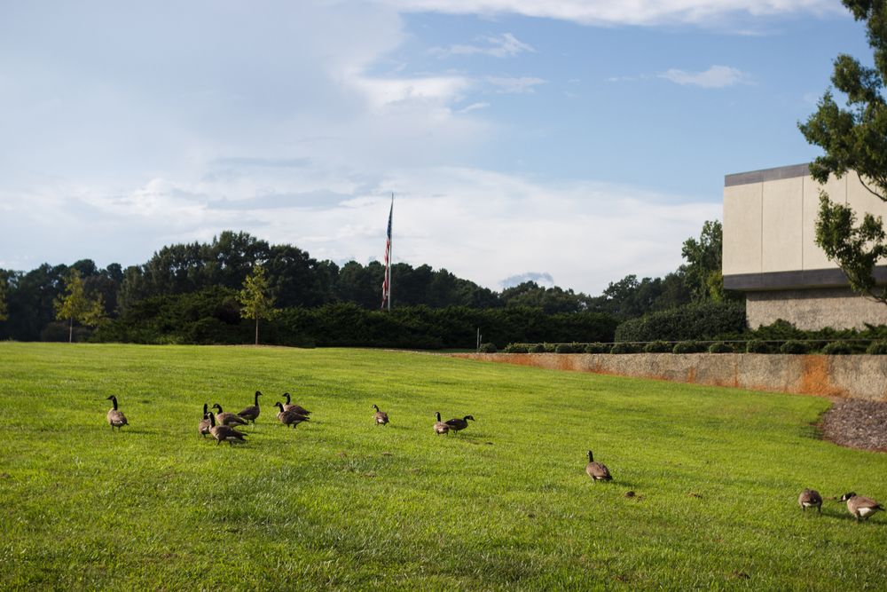 Grounds of The Milliken Arboretum