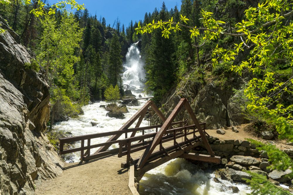 Scenic view of Fish Creek Falls