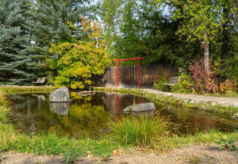 The waters of Yampa River Botanic Park
