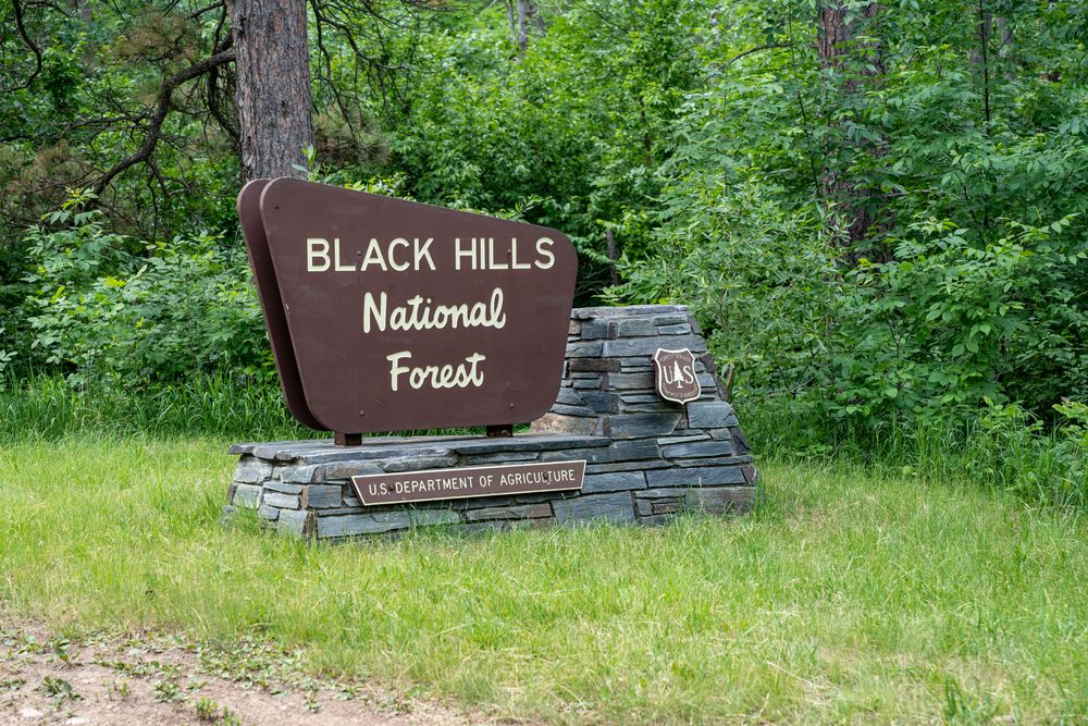 Welcome sign of Black Hills National Forest