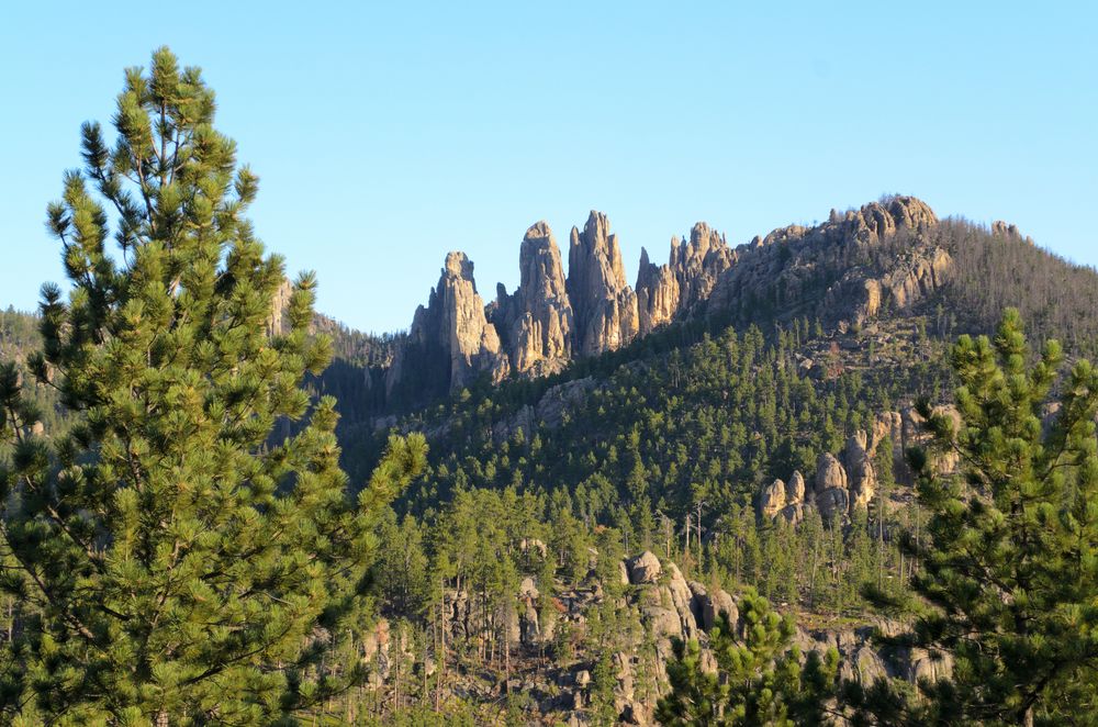 Scenic view from Needles Highway