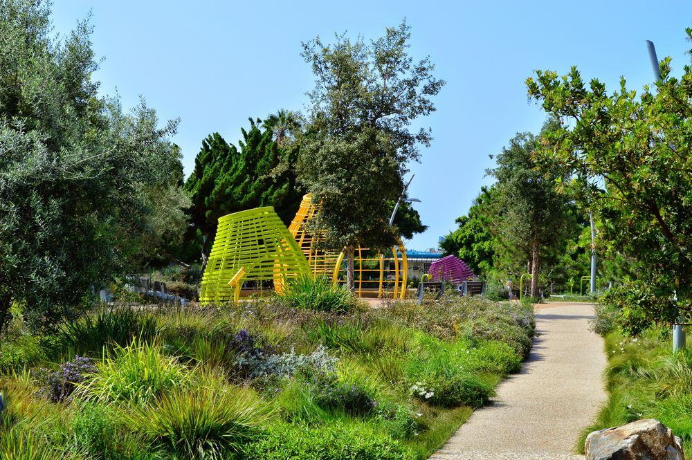 Landscape of Tongva Park